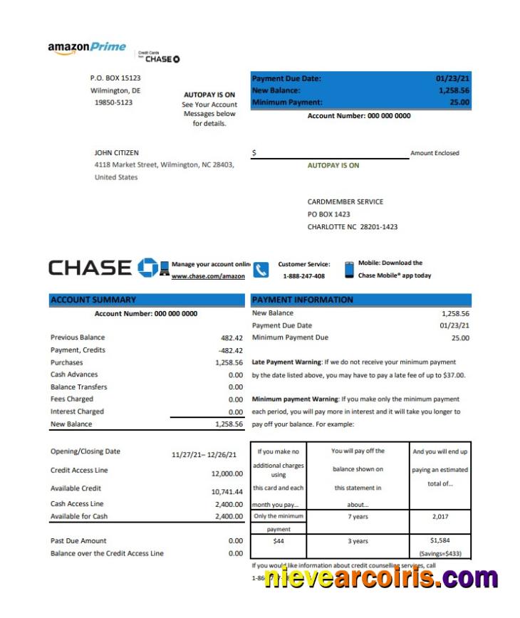 USA Chase credit card statement